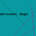 atrovent is used for what
