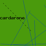 cardarone