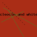 cleocin 300
