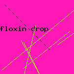 floxin otic swimmer