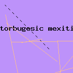 mexitil generic
