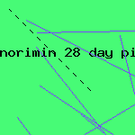 norimin 28 day pill
