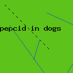 what dose of pepcid for dogs
