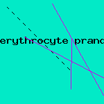 0.5 1 2 mg prandin tablet