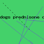 pcos prednisone
