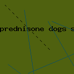 prednisone dogs shrink tumor
